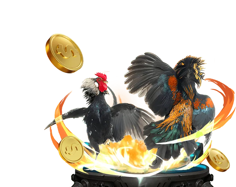 Giới thiệu về cmw casino